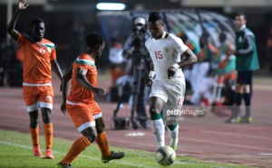 CAN 2017 de football : Le budget de la participation des Lions arrêté à 1,8 milliards de francs (ministre)