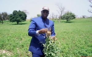 La maîtrise insuffisante de l’eau est le premier obstacle à l’accélération de la cadence de l’agriculture sénégalaise (Par le Pr Demba SOW)