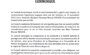 Meutre Fatimata Moctar Ndiaye : le Conseil Economique et Social "exhorte les autorités à identifier et sanctionner les auteurs de cette barbarie"
