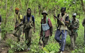 L'aile combattante du MFDC prête à faire respecter l'accalmie à ses éléments armés