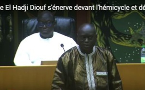 Me El Hadji Diouf aux députés :  "Je suis l'avocat international sénégalais qui fait le buzz"