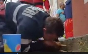 Vidéo: Un pompier sauve la vie d'un chien en lui faisant du bouche à bouche