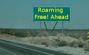 Téléphonie : le roaming gratuit à partir du 31 mars 2017