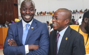 Députés de la diaspora : Ce que la loi prévoit; ce que la politique dissimule (Par Thierno Bocoum)