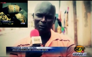 Vidéo : Un ancien dealer de chanvre indien se confie: "J'ai jamais fumé ni de la cigarette ni du yamba"
