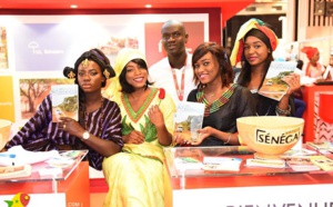 2017, année internationale du Tourisme Durable pour le Développement : Un défi pour le Sénégal (Par Pape TOURE)
