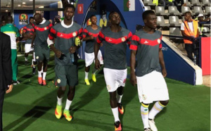 Photos: échauffement d'avant match des Lions  contre le Zimbabwe