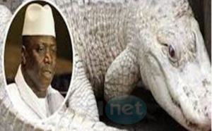 Vidéo: Yahya Jammeh très remonté contre ceux qui ont tué ses crocodiles blancs (version Sa Ndiogou)