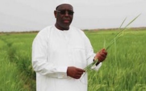 Le Sénégal vise une "émergence inclusive", selon le Président Macky Sall
