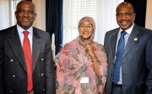 Sommet de l’UA: La candidate mauritanienne Fatimetou Mint Moustapha Saleck prise en flagrant délit de vol
