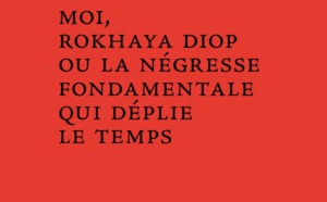 Abdoulaye Elimane Kane publie un nouveau roman "Moi, Rokhaya Diop ou la négresse fondamentale qui déplie le temps"