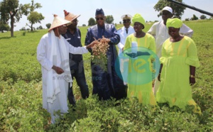 Hôte de Saint Louis et du Fouta : Macky Sall va reprendre ses tournées économiques en mars
