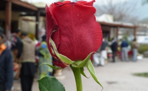 À Maiduguri, le berceau de Boko Haram, on célèbre aussi l'amour