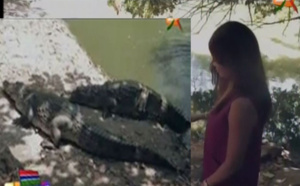 Vidéo – Soumboulou Bathily a peur des crocodiles de la Gambie… Regardez !