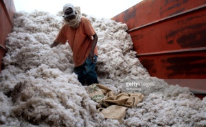 Sénégal : pourquoi la production cotonnière de Sodefitex a baissé en 2016