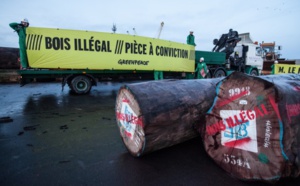 Le Sénégal et la Gambie en guerre contre le trafic de bois