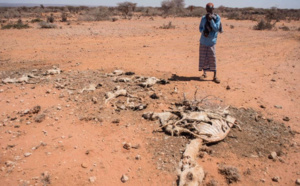 Somalie: 110 décès en 48 heures à cause de la sécheresse