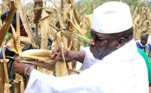 Guinée Equatoriale:Yahya Jammeh veut se lancer dans l’agriculture