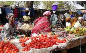 Agriculture : comment l'Afrique de l'Ouest s'y prend sur les marchés internationaux