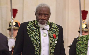Les Alliances et Instituts français rendront hommage à Ousmane Sow les 28-30 avril 2017