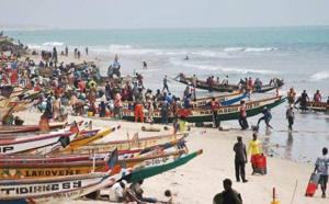 ​Conseil Ministériel sur la pêche: Les défenseurs de la mer auraient souhaité des assises pour assainir ce secteur capital 