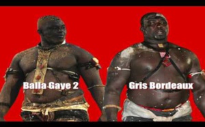 Négociations des promoteurs, problème de date… : Gris Bordeaux- Balla Gaye 2 impossible !