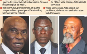 Coulisses de l'exclusion de Pape Samba Mboup et de Farba Senghor: Comment le Pds a volé en éclats