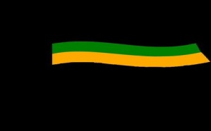 La faction dissidente de l'ANC lance son propre parti