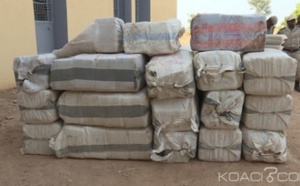 Burkina Faso: Près de 2 tonnes de drogue saisies à Nako