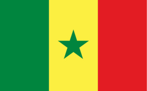 Sénégal : De l’empire du  Ghana à 2017,  l’histoire nous a –t-elle bien gâtés ?