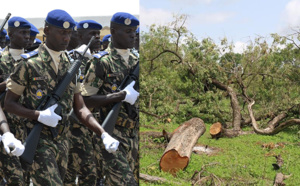 Le Sénégal oriental et la Casamance, régions les plus préoccupées par la protection de l'environnement (GOUVERNEUR)