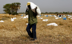 Alerte rouge: 800 000 Sénégalais en proie à la famine !