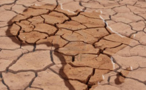 L'Afrique compte 145 000 millionnaires