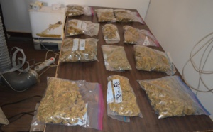 Trafic de drogue de variété 'SKUNK’’: L'Ocrtis fait tomber l'un des acolytes du ressortissant français
