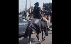 Photos : un cheval et son cavalier à la manifestation de Y'en à marre