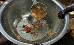 Alerte: La famine guette le département de Bignona