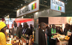 Fiara 2017: Papa Abdoulaye Seck salue les avancées significatives de l’agriculture