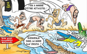 Y en a marre dans la mare signé Odia