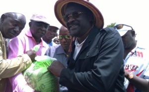 "D'ici au 31 décembre 2017, nous atteindrons  l'auto-suffisance en riz" (Abdoulaye Seck, ministre de l'Agriculture)