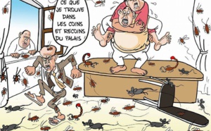 Yakham Mbaye, Aliou Sall, les scorpions et les frelons... (Par ODIA)