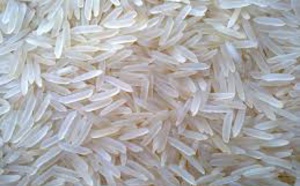 Affaire du Riz "en plastique": selon Dr Fallou Sarr, le plastique ne peut pas donner du riz
