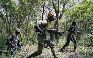 Paix en Casamance: Les rebelles vers l'unité