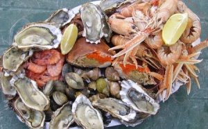 SALON DES PRODUITS DE MER : Le Sénégal expose à Bruxelles