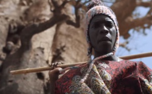 Vidéo – « Womatt » de Youssou Ndour version Dudu... A mourir de rire  – Regardez