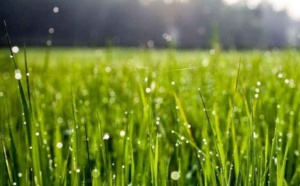 Hivernage 2017 : beaucoup de pluie, un démarrage précoce, annonce l'Anacim
