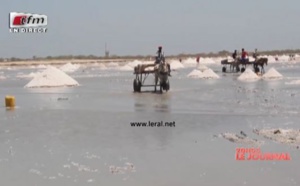 Gandon, commune de Saint Louis: des milliers de tas de sel emportés par les eaux pluviales...Regardez!