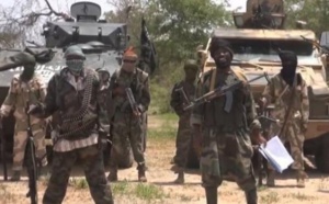 Niger: 37 femmes enlevées et 9 personnes tuées par Boko Haram