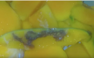 Miracle à Pout: une mangue avec l'inscription "Mouhamadou" en arabe