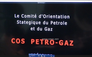 Images - Le comité d'Orientation Stratégique du Pétrole et du Gaz