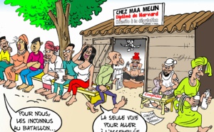 Législatives 2017 : candidats CENT illusions (Paru dans La Tribune )